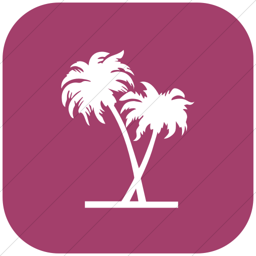 Flat Rounded Square White On Pink Classica Palm Trees