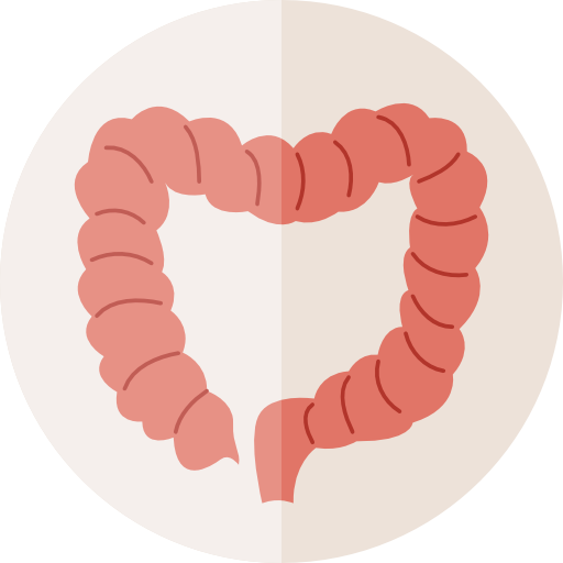 Colon Icon