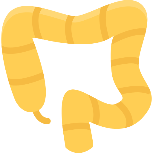 Colon Png Icon
