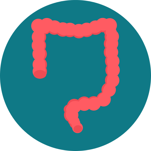 Colon Png Icon