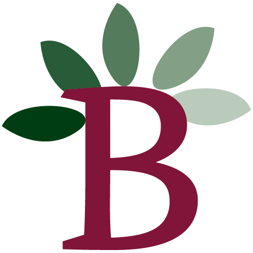 Cropped Icon Branches Community Church