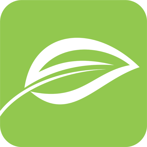 Conclusion On Speed, Velocity And Acceleration