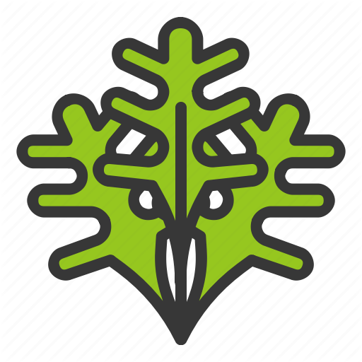 Coral Reef, Food, Fresh, Green, Vegan, Vegetable, Vitamn