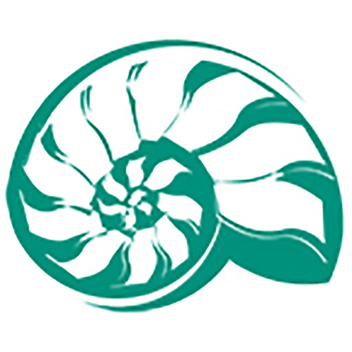 Cropped Core Icon Clinical Overview Of The Recovery Experience