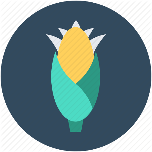 Corn, Maize, Pole Corn, Sugar Corn, Sweet Corn Icon