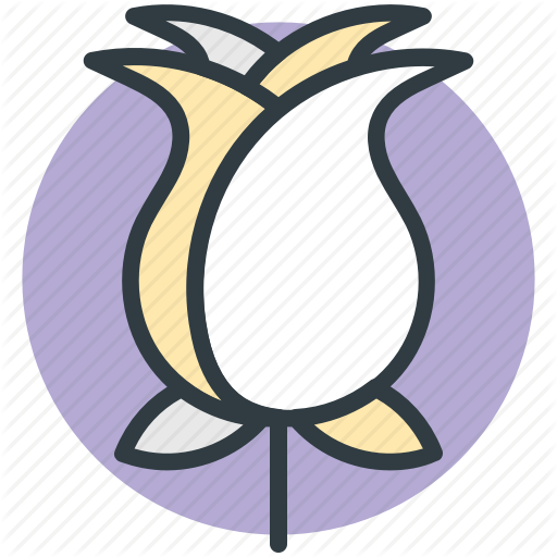 Cotton Flower, Flower, Nature, Organic, Soft Icon