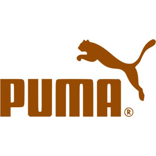 Brown Puma Icon