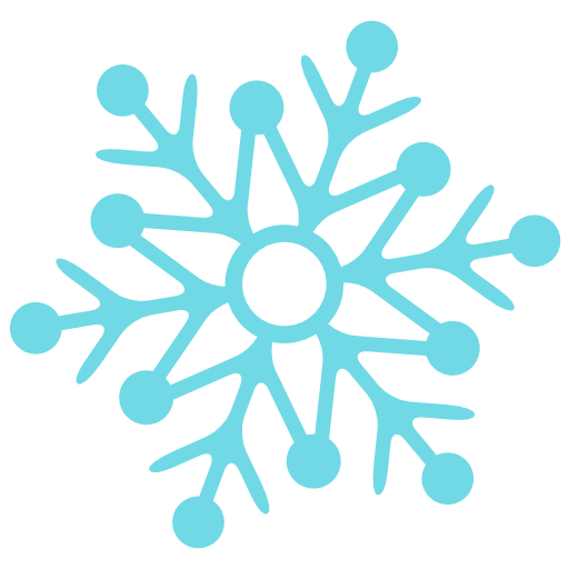 Snowflake Icon Ecdis Training Courses And Advice