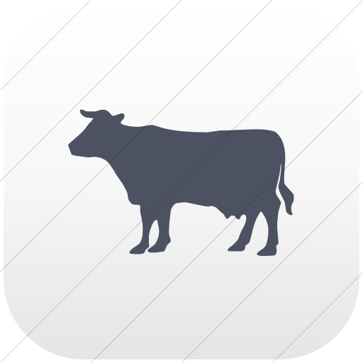 Flat Rounded Square Blue Gray On White Gradient Animals