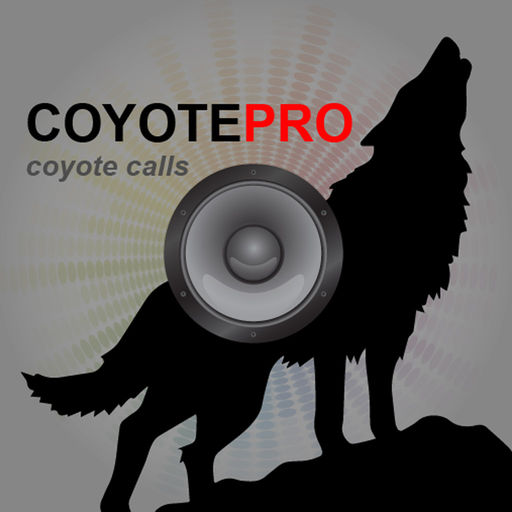 Real Coyote Hunting Calls