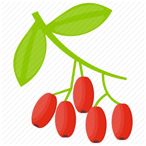 Berries, Berry, Cranberry, Cranberry Fruit, Cranberry Juice Icon