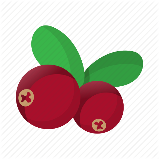 Berry, Bright, Cartoon, Cranberry, Fruit, Healthy, Object Icon