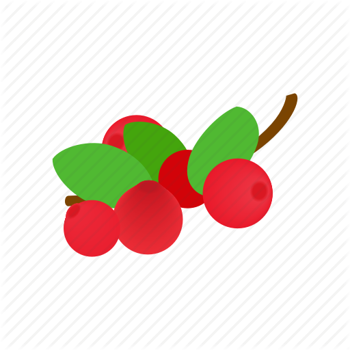 Berry, Cranberry, Food, Freshness, Isometric, Red, Ripe Icon