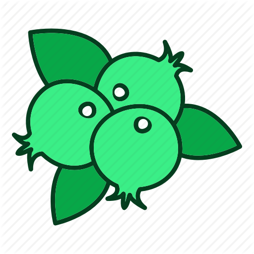Cranberry Icon
