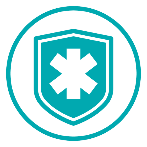 Medical Cross Shield Icon