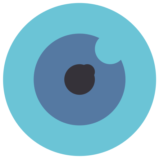 Eye Ball Icon