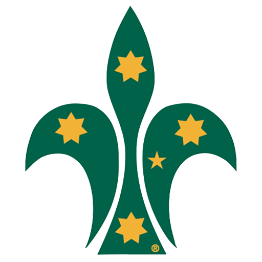 The Adventure Begins