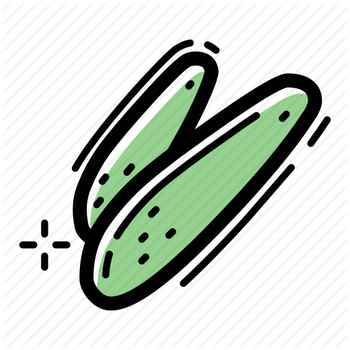 Cucumber, Food, Pare, Pickle, Salad, Vegetable, Vegetarian Icon