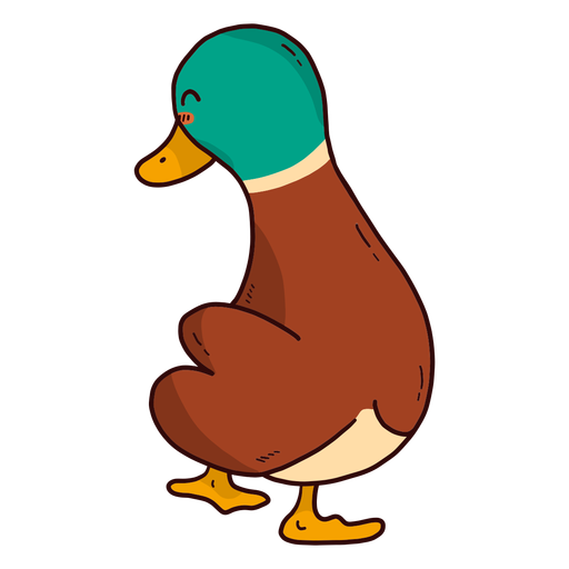 Cute Drake Duck Wild Duck Beak Flat