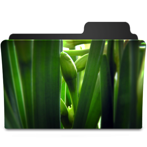 Green Flower Icon