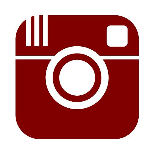 Instagram Icon