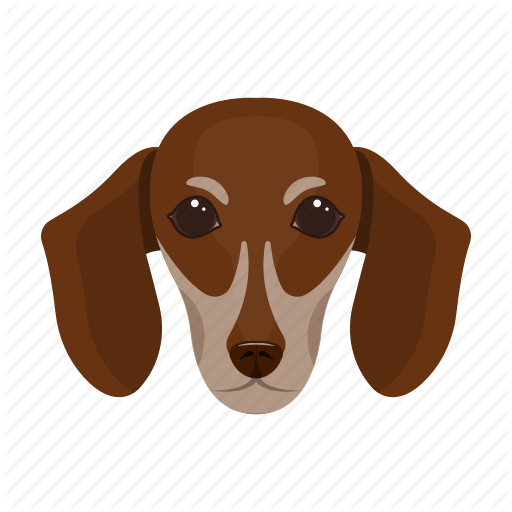 Animal, Breed, Dachshund, Dog, Domestic, Muzzle, Pet Icon