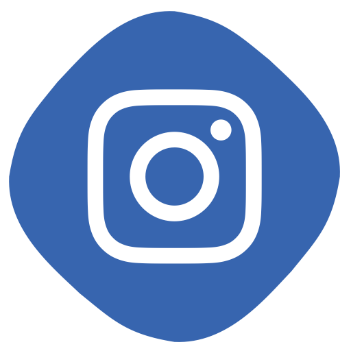 Media, Network, Logo, Circle, Dailymotion, Social, Daily Motion Icon