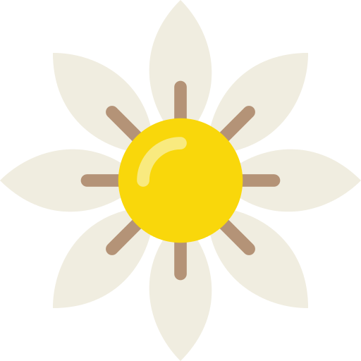 Daisy Flower Png Icon