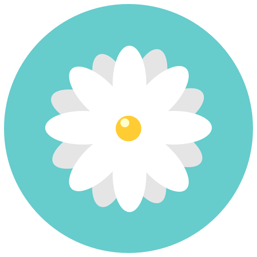 Flowers, Aroma, Chamomile, Blossom, Flower, Daisy, Nature Icon