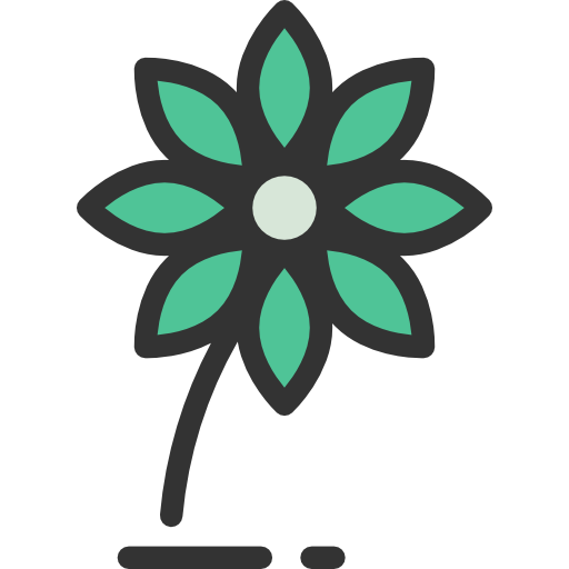 Flower, Petals, Blossom, Nature, Ecology And Environment, Daisy