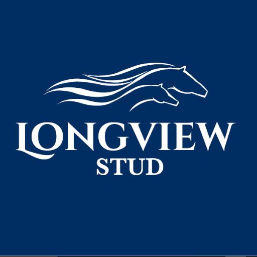 Longview Stud On Twitter Doncaster Yearlings Starting Sales Prep