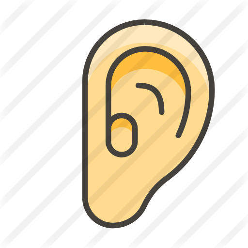 Ear