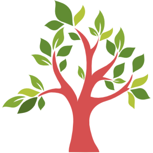 Terms Conditions Dr Mary's Knowledge Tree