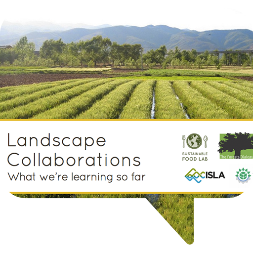 Slide Deck Preview Icon Sustainable Food Lab