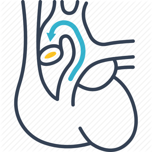 Defect, Diagnosis, Diseases, Heart Icon