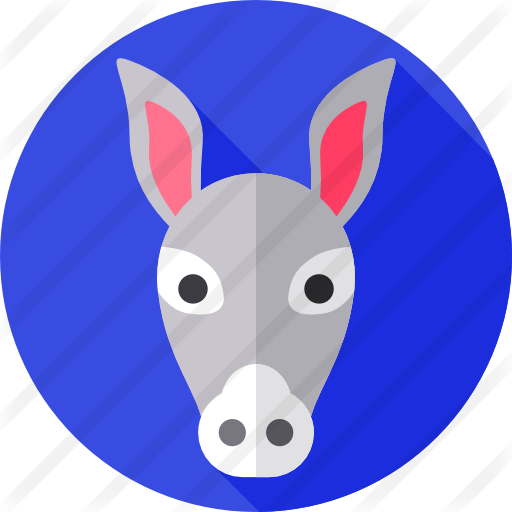 Donkey