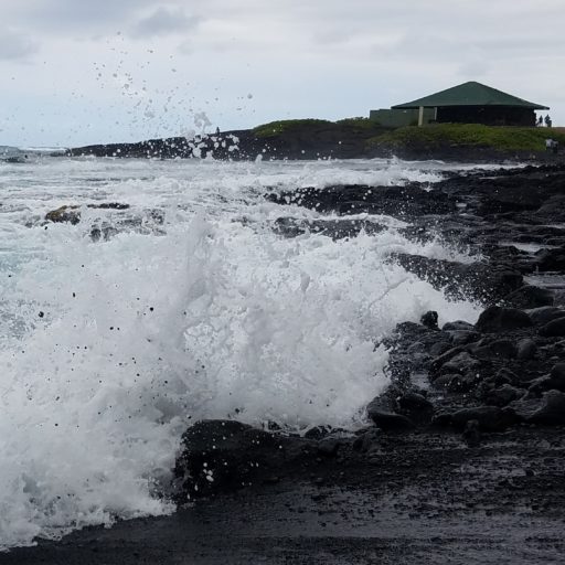 Writings Derelict Reverie