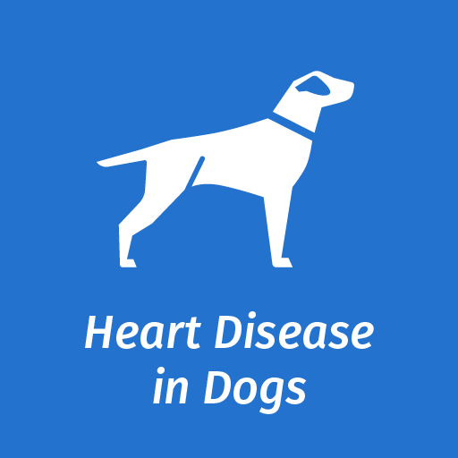 Information On Recognizing Signs Of Heart Disease In Dogs Elanco Uk