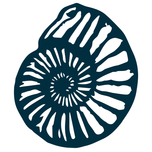 Talk To The Paw Dogcat Bowl Jurassic Trading Co