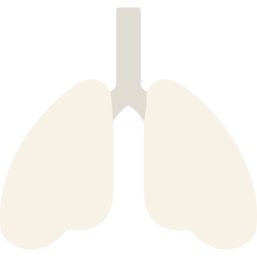 Lungs