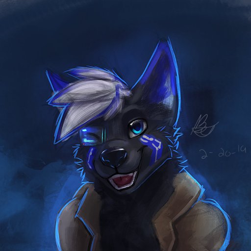 Berubeswagos Furry Amino