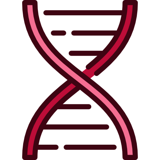 Dna Structure Icon