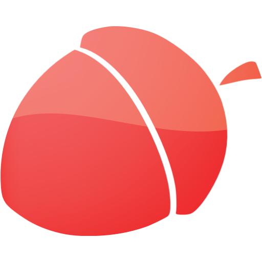 Web Red Acorn Icon