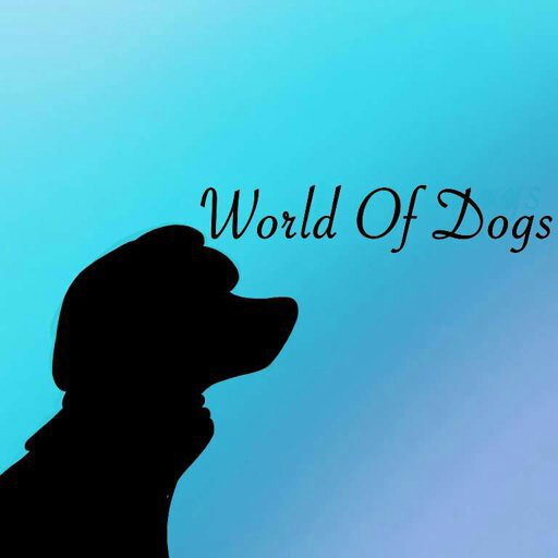 Latest World Of Dogs Amino