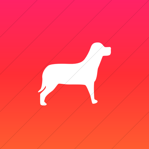 Flat Square White On Ios Orange Gradient Animals Dog Icon