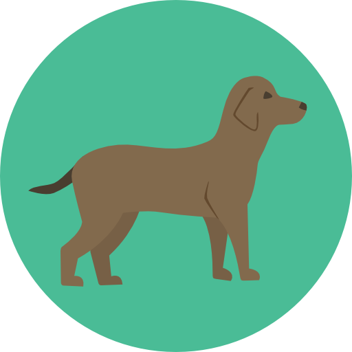 Animal, Dog, Pet, Animals, Mammal, Breed Icon
