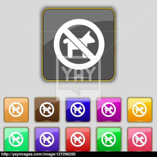 Dog Walking Is Prohibited Icon Sign Set With Eleven Colored
