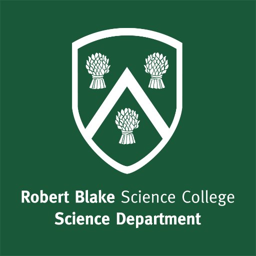 Rbsc Science On Twitter A Creative Lesson Making The Dna Double