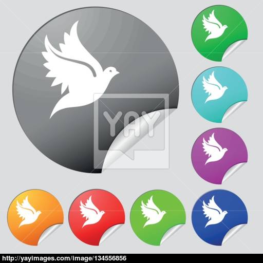 Dove Icon Sign Set Of Eight Multi Colored Round Buttons, Stickers