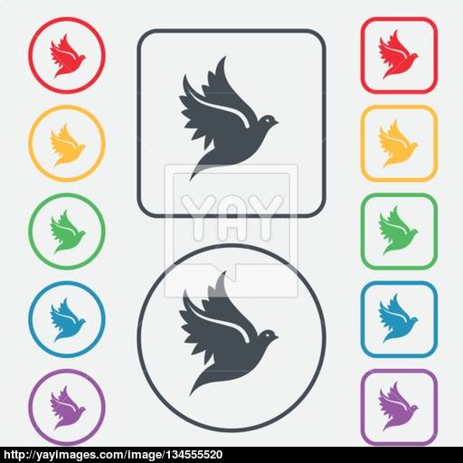 Dove Icon Sign Symbol On The Round And Square Buttons With Frame